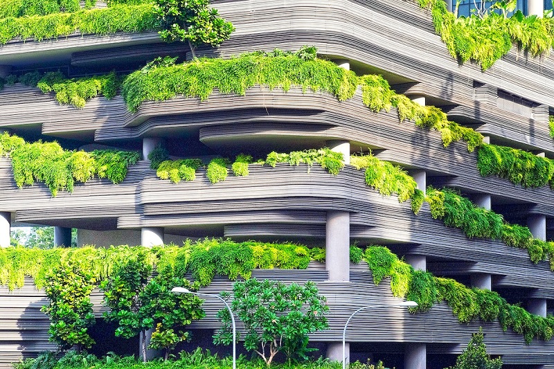 Sustainable Living: Steps Towards a Greener Future